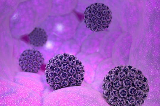 人乳头瘤病毒（HPV）E6/E7RNA标准品，筑牢科研与检测质控防线