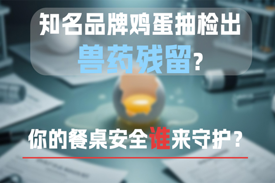 触目惊心！知名品牌鸡蛋抽检出兽药残留，你的餐桌安全谁来守护？